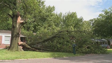 Wheelchair-bound man trapped at home after tree falls on his only ramp